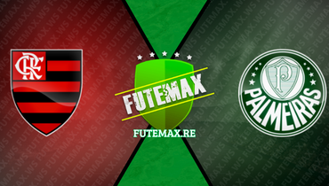Assistir Flamengo x Palmeiras ao vivo online 08/11/2023