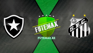 Assistir Botafogo x Santos ao vivo online 26/11/2023