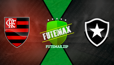 Assistir Flamengo x Botafogo ao vivo online 07/02/2024