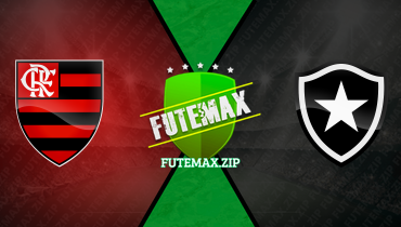 Assistir Flamengo x Botafogo ao vivo online 28/04/2024